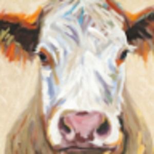 Meet your Posher, Renae